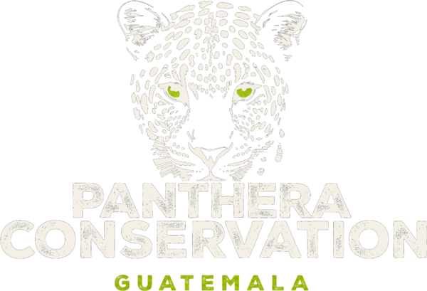 Panthera Conservation Tours